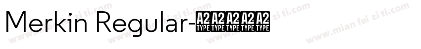 Merkin Regular字体转换